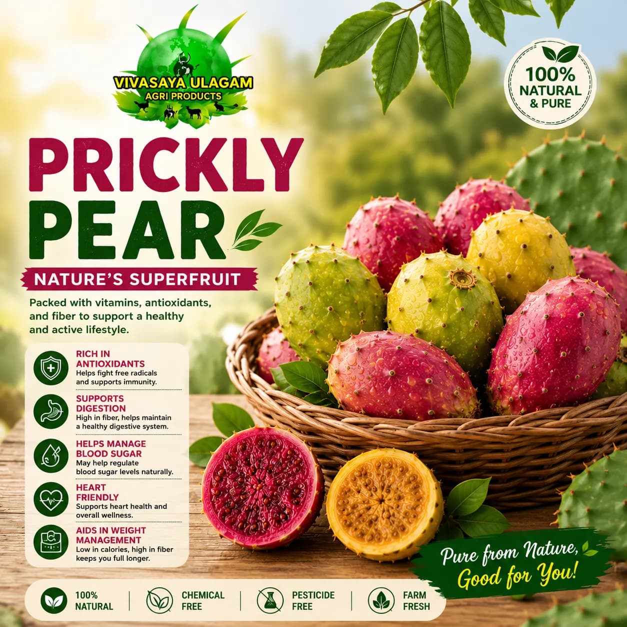 Prickly Pear / Kalli Palam